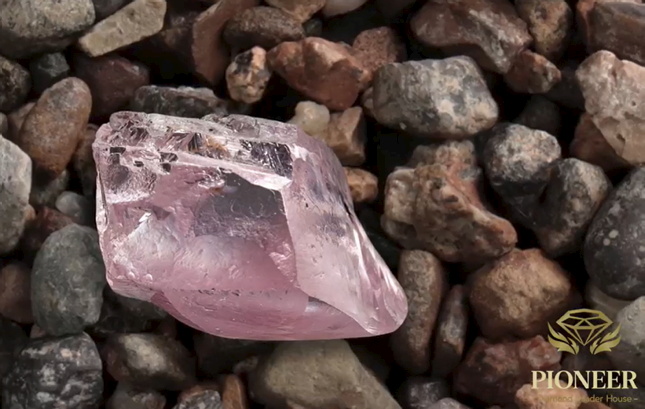 29.5 ct Protea Pink Alluvial Diamond to be Sold